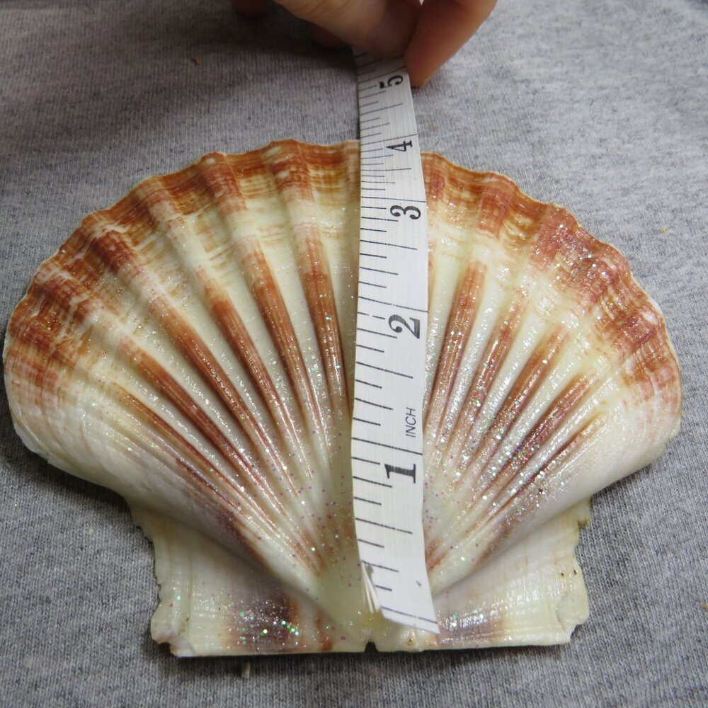Sea Shell Blown Glass & Glittered with other Nautical Ornaments - Picture 7 of 15
